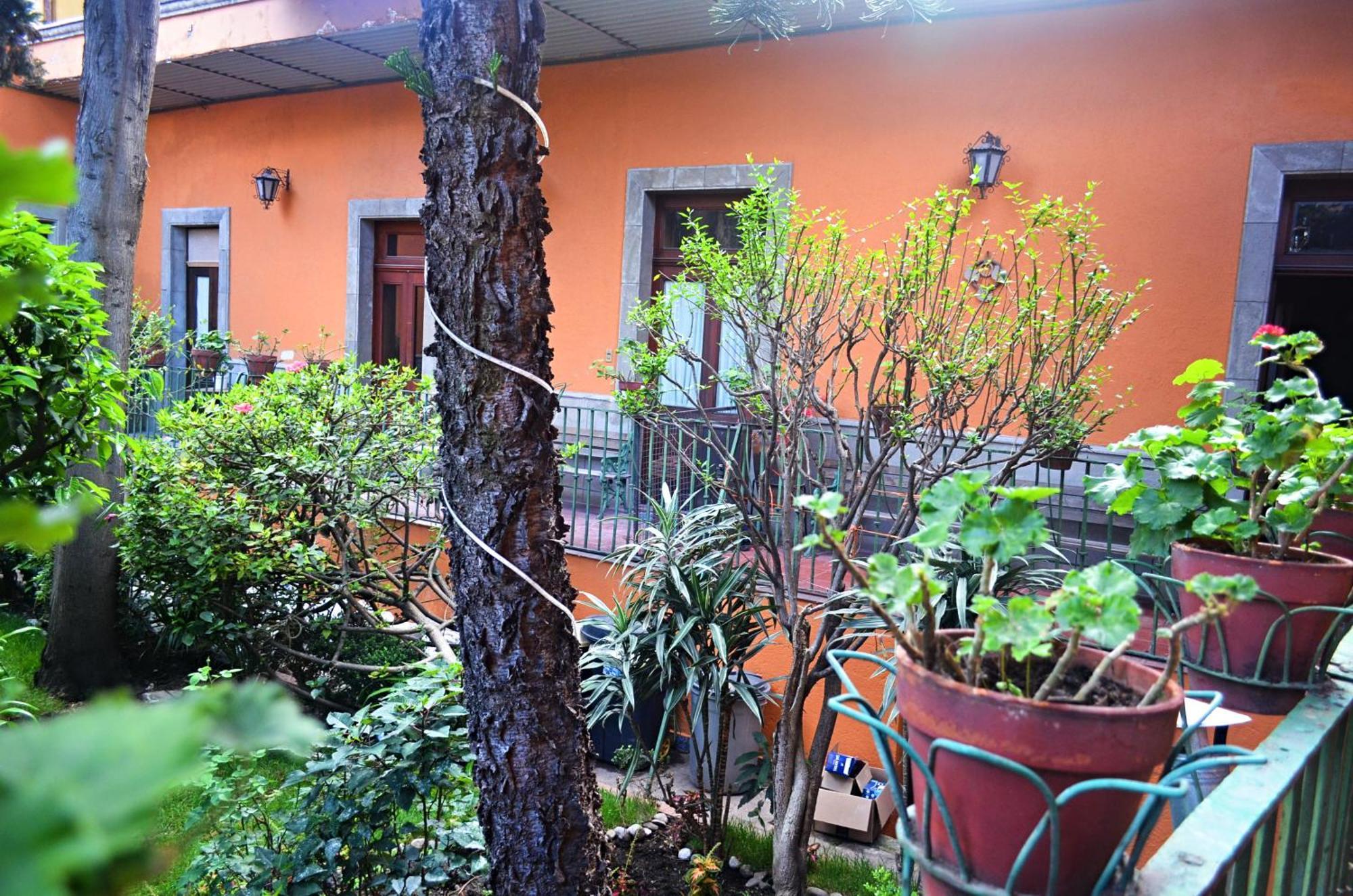 Hacienda Gobernadores Μεξικό Εξωτερικό φωτογραφία