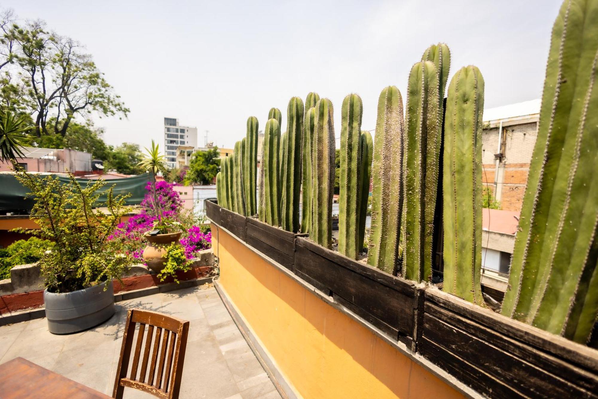 Hacienda Gobernadores Μεξικό Εξωτερικό φωτογραφία