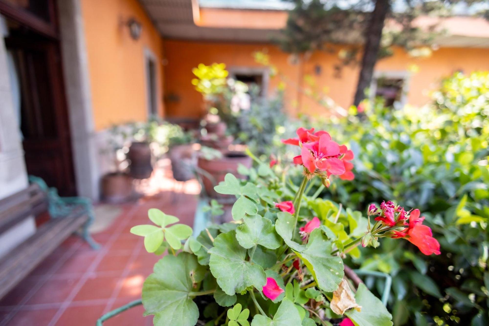 Hacienda Gobernadores Μεξικό Εξωτερικό φωτογραφία